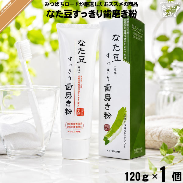 【お手軽】なた豆すっきり歯磨き粉（120g） 【送料無料】【4543268057066】【特0】