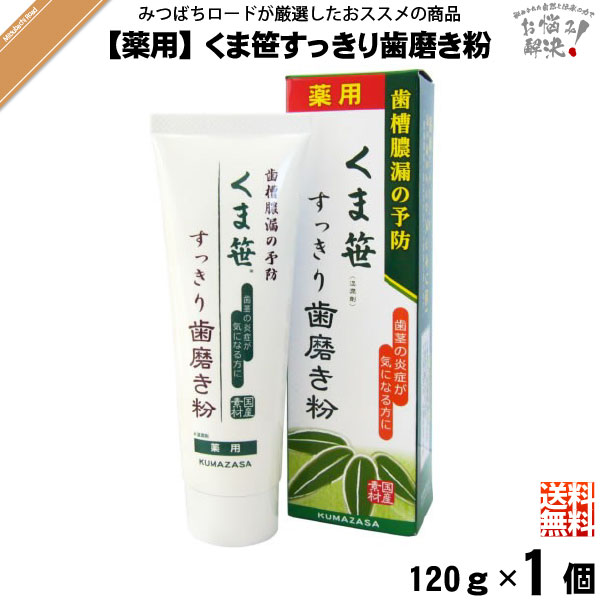 【終売】【お手軽】 薬用 くま笹すっきり歯磨き粉 （120g） 【送料無料】
