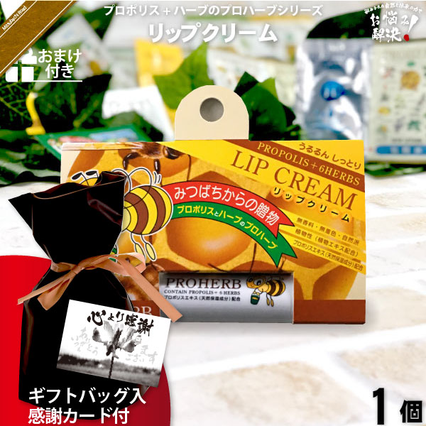 【ギフトバッグ入 / 感謝カード付 / おまけ付】プロハーブリップクリーム（）【送料無料】