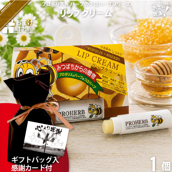 【ギフトバッグ入 / 感謝カード付 / おまけ付】プロハーブリップクリーム（）【送料無料】