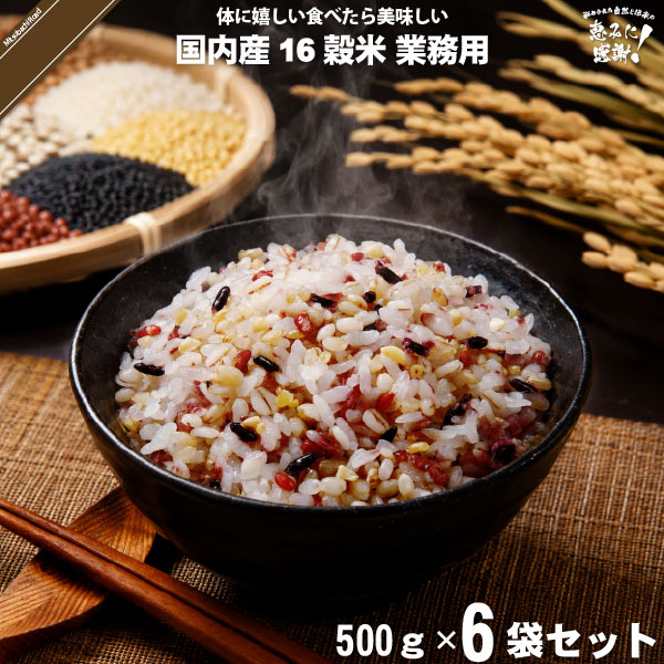 【6個セット】国内産十六穀米 業務用 （500g）【送料無料】