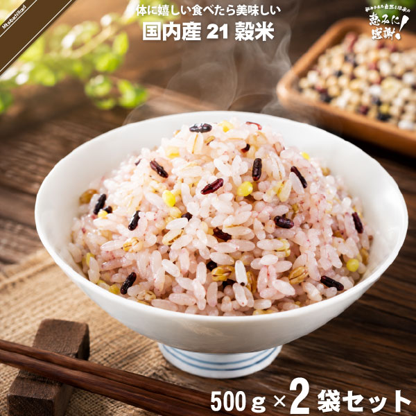 【お手軽 / 2個セット】国産 21穀米 （500g）【送料無料】