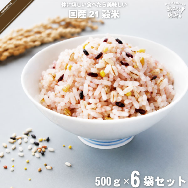 【6個セット】国産 21穀米 （500g）【5250円以上で送料無料】