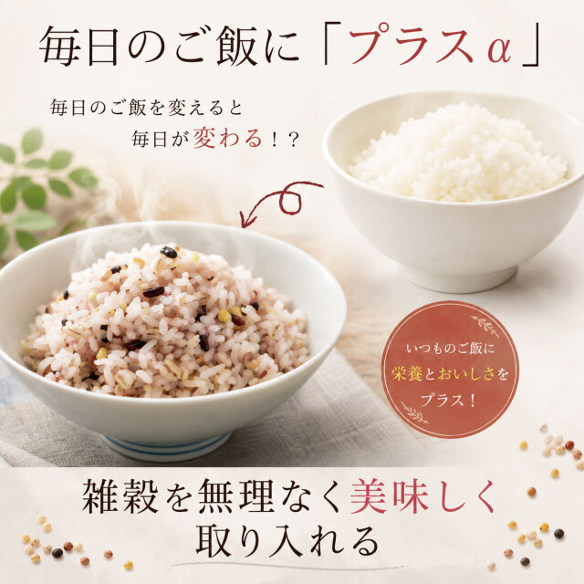 国産 21穀米 （500g）【5250円以上で送料無料】