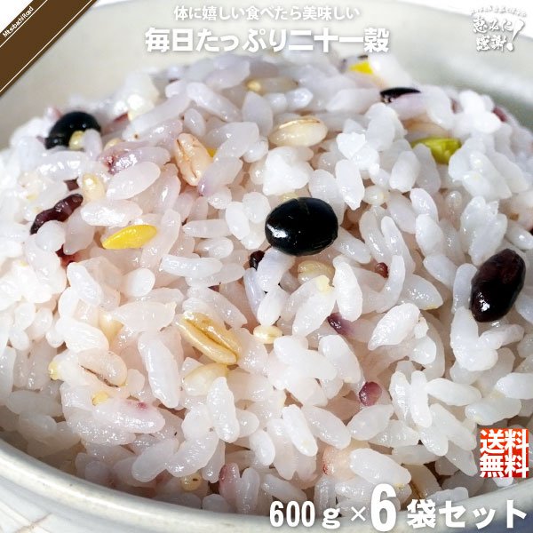 【受注過多のため出荷まで4週間程度】【6個セット】毎日たっぷり二十一穀 （600g）【送料無料】