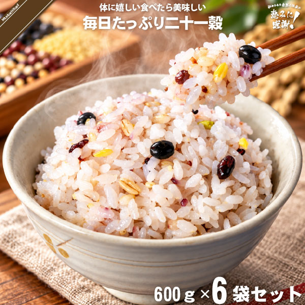【6個セット】毎日たっぷり二十一穀 （600g）【送料無料】