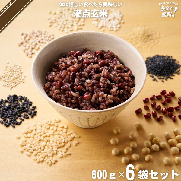 【6個セット】 満点玄米 （600g）【送料無料】