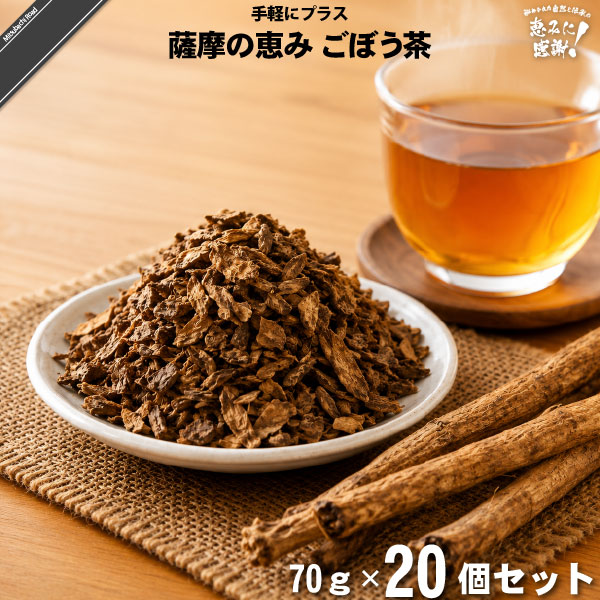 【20個セット】薩摩の恵み ごぼう茶（70g）【送料無料】【特0】