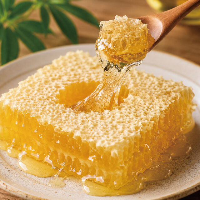 日本蜜蜂の巣蜜　7/15午前中まで 国産巣みつ（300g）【送料無料】【化粧箱】