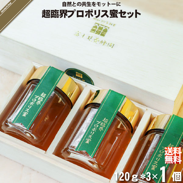 超臨界プロポリス蜜セット （120g×3本）【送料無料】【化粧箱】
