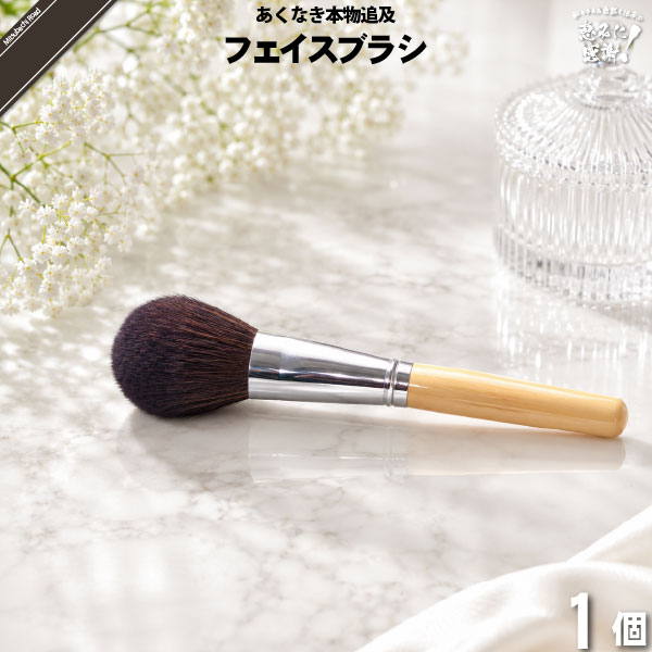 レクティ アールブルー フェイスブラシ （）【5250円以上で送料無料】
