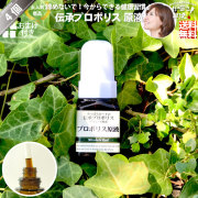【4個セット】伝承プロポリス原液（約1ヵ月分/20ml）【送料無料】