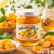 国産きんかんのはちみつ漬 （250g）【5250円以上で送料無料】