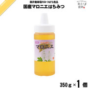 国産マロニエはちみつ ポリ容器 （350g）【5250円以上で送料無料】
