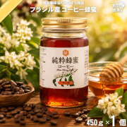 ブラジル産コーヒーはちみつ 瓶入 （450g）【5250円以上で送料無料】