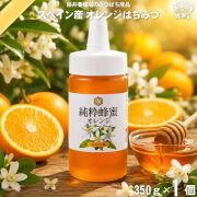 スペイン産オレンジはちみつ ポリ容器 （350g）【5250円以上で送料無料】