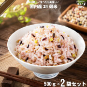 【お手軽 / 2個セット】国産 21穀米 （500g）【送料無料】