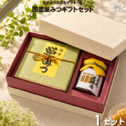 国産 巣みつ ギフトセット （300g、140g）【送料無料】【化粧箱】