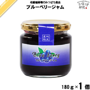 ブルーベリージャム（180g）【5250円以上で送料無料】
