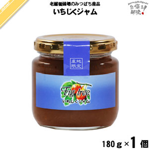 いちじくジャム（180g）【5250円以上で送料無料】