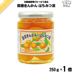 国産きんかんのはちみつ漬 （250g）【5250円以上で送料無料】