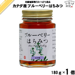 【終売】カナダ産ブルーベリーはちみつ 瓶入 （180g）【5250円以上で送料無料】