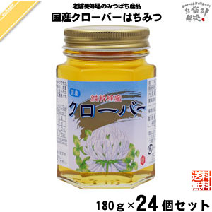 【24個セット】国産クローバーはちみつ 瓶入 （180g）【送料無料】