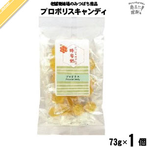 プロポリスキャンディー （73g）【5250円以上で送料無料】