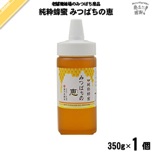純粋蜂蜜 みつばちの恵 ポリ容器 （350g）【5250円以上で送料無料】