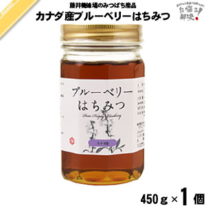 【終売】カナダ産ブルーベリーはちみつ 瓶入 （450g）【5250円以上で送料無料】