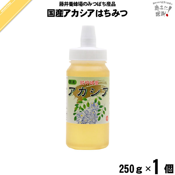 国産アカシアはちみつ ポリ容器 （250g）【5250円以上で送料無料】