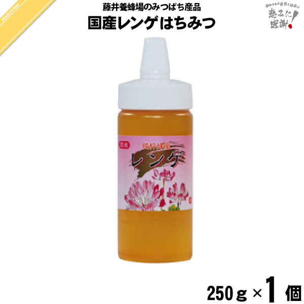 国産レンゲはちみつ ポリ容器 （250g）【5250円以上で送料無料】