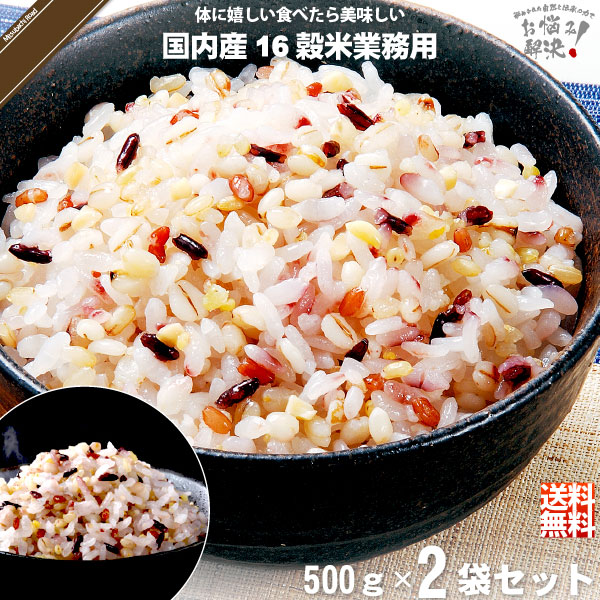 【お手軽 / 2個セット】国内産十六穀米 業務用 （500g）【送料無料】