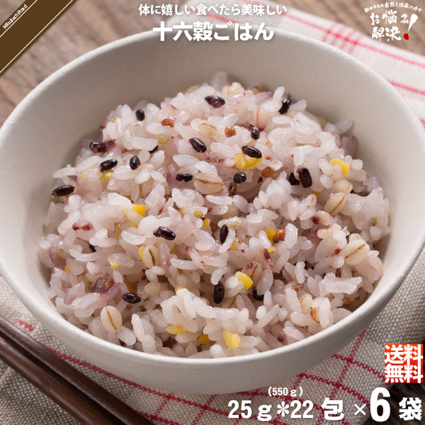 【6個セット】十六穀ごはん （25g×22包）【5250円以上で送料無料】