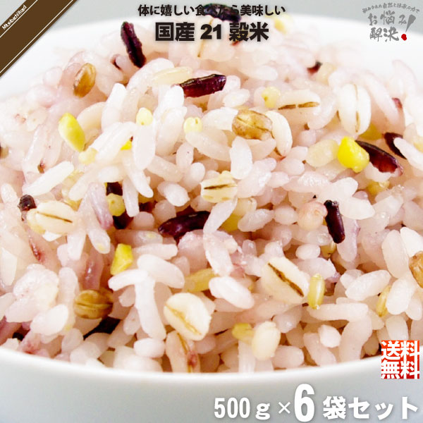 【6個セット】国産 21穀米 （500g）【5250円以上で送料無料】