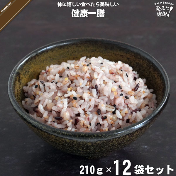 【12個セット】健康一膳 （210g）【送料無料】