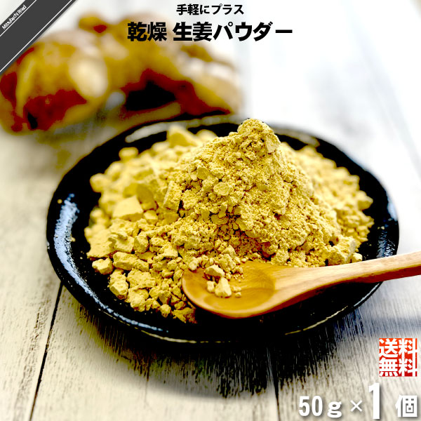 【お手軽】乾燥 生姜 パウダー （50g）【送料無料】