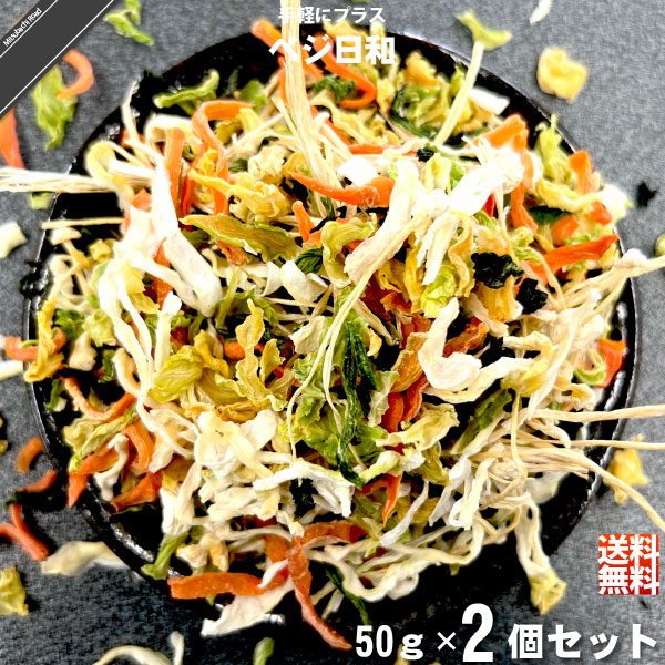 【お手軽 / 2個セット】ベジ日和 乾燥野菜（50g）【送料無料】【特0】