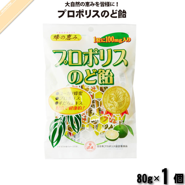 プロポリスのど飴 （80g）【5250円以上で送料無料】