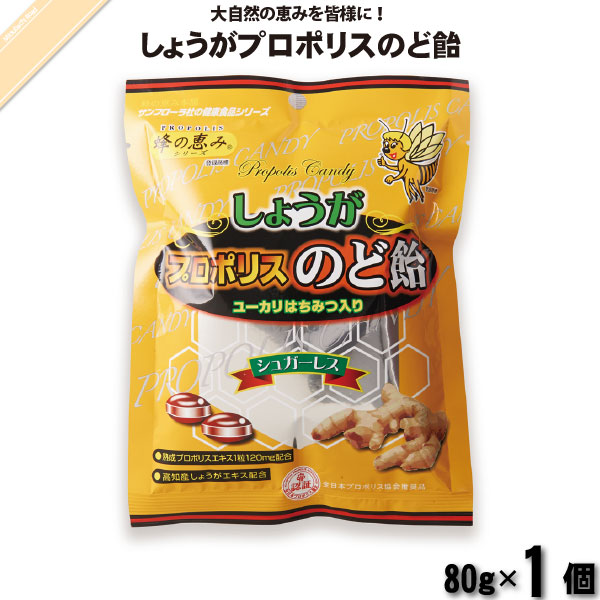 しょうが プロポリスのど飴 ユーカリはちみつ入り （80g）【5250円以上で送料無料】