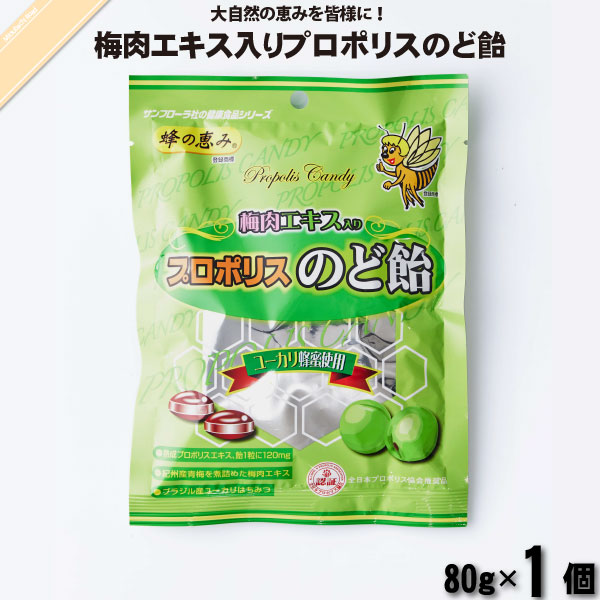 梅肉エキス入り プロポリスのど飴 ユーカリはちみつ入り （80g）【5250円以上で送料無料】