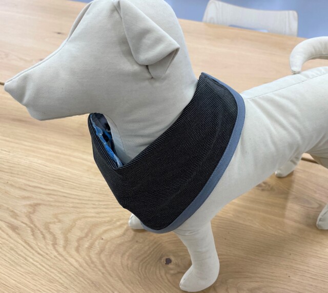 犬用クールバンダナつけた状態