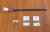 evolution_10.jpg