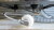 jwe-450rub3-r2019-03-01_08.jpg