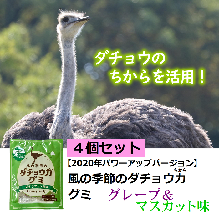 風の季節のダチョウ力グミ4個セット　ダチョウ抗体