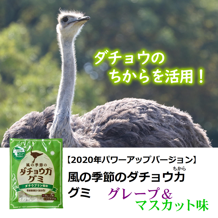 風の季節のダチョウ力グミ　ダチョウ抗体