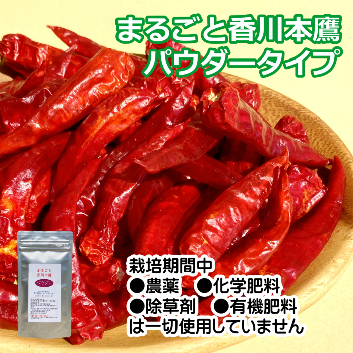 まるごと香川本鷹 パウダー 40g 唐辛子 香川県産 栽培期間中