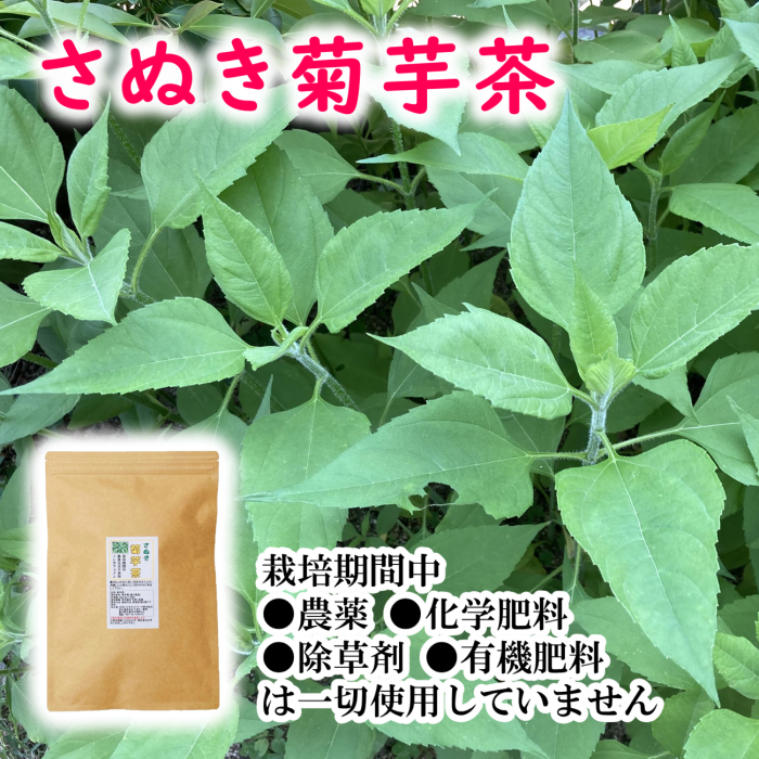 国産 菊芋茶 2g×10包 栽培期間中農薬不使用