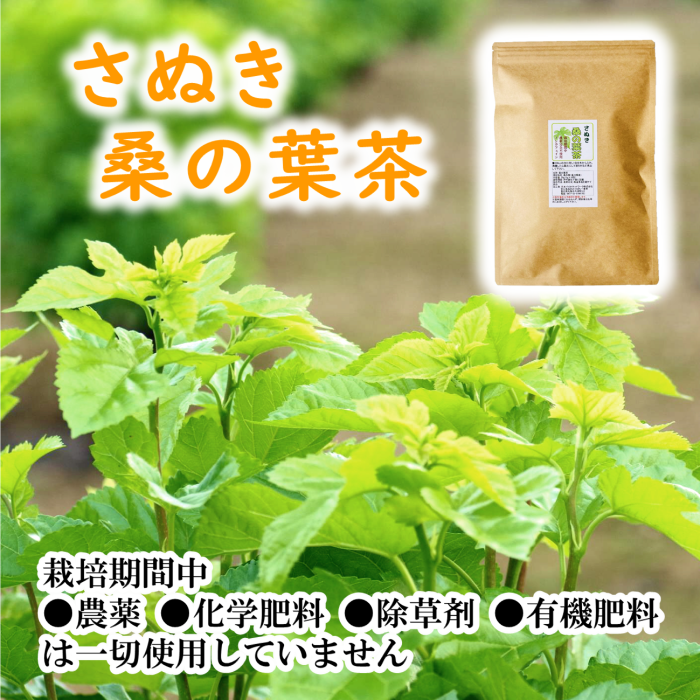 国産桑の葉茶