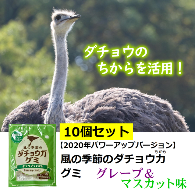 風の季節のダチョウ力グミ10個セット　ダチョウ抗体